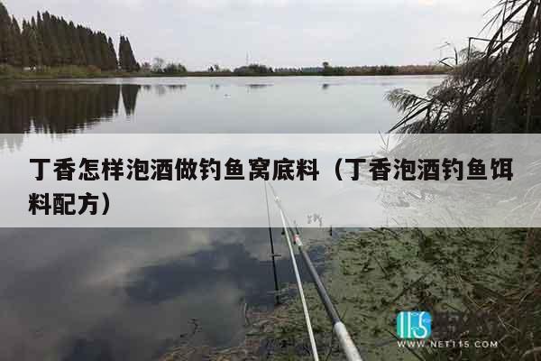 丁香怎样泡酒做钓鱼窝底料（丁香泡酒钓鱼饵料配方）