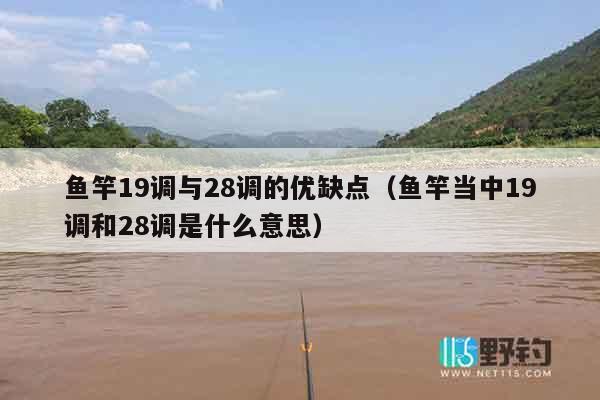 鱼竿19调与28调的优缺点（鱼竿当中19调和28调是什么意思）