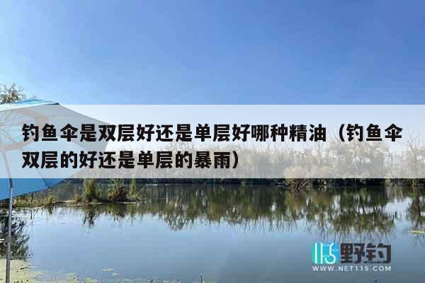 钓鱼伞是双层好还是单层好哪种精油（钓鱼伞双层的好还是单层的暴雨）