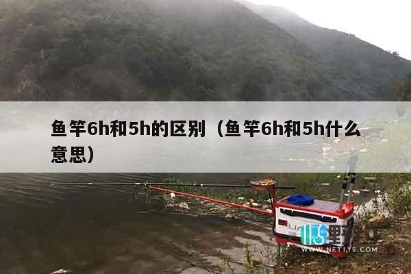 鱼竿6h和5h的区别（鱼竿6h和5h什么意思）