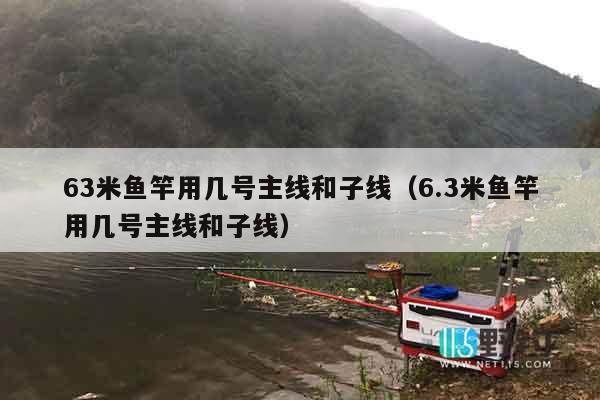 63米鱼竿用几号主线和子线（6.3米鱼竿用几号主线和子线）