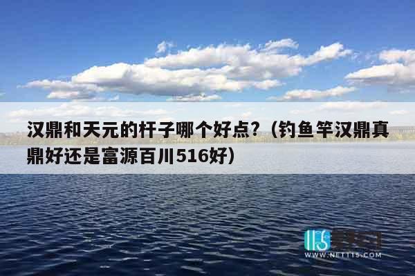 汉鼎和天元的杆子哪个好点?（钓鱼竿汉鼎真鼎好还是富源百川516好）