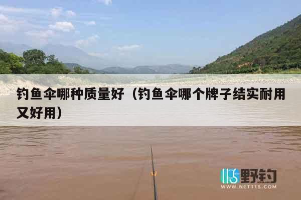 钓鱼伞哪种质量好（钓鱼伞哪个牌子结实耐用又好用）