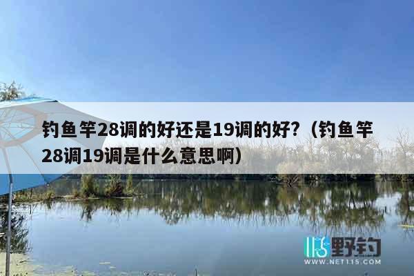 钓鱼竿28调的好还是19调的好?（钓鱼竿28调19调是什么意思啊）