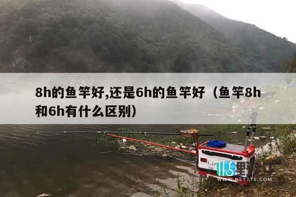 8h的鱼竿好,还是6h的鱼竿好（鱼竿8h和6h有什么区别）