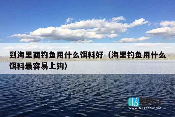 到海里面钓鱼用什么饵料好（海里钓鱼用什么饵料最容易上钩）