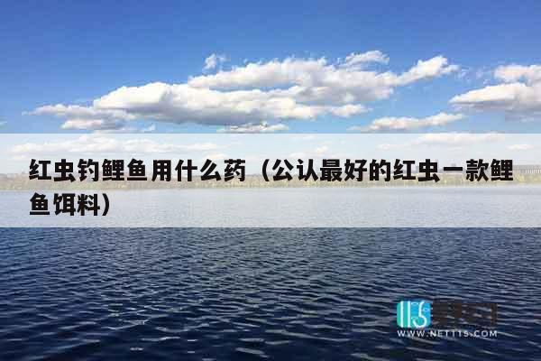 红虫钓鲤鱼用什么药（公认最好的红虫一款鲤鱼饵料）