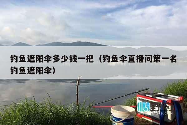 钓鱼遮阳伞多少钱一把（钓鱼伞直播间第一名钓鱼遮阳伞）