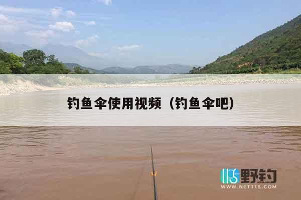 钓鱼伞使用视频（钓鱼伞吧）
