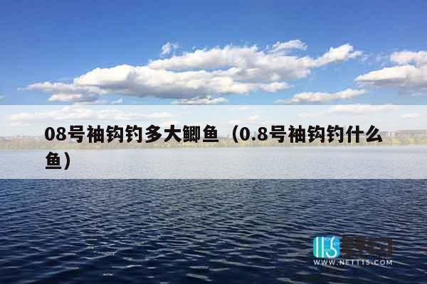08号袖钩钓多大鲫鱼（0.8号袖钩钓什么鱼）