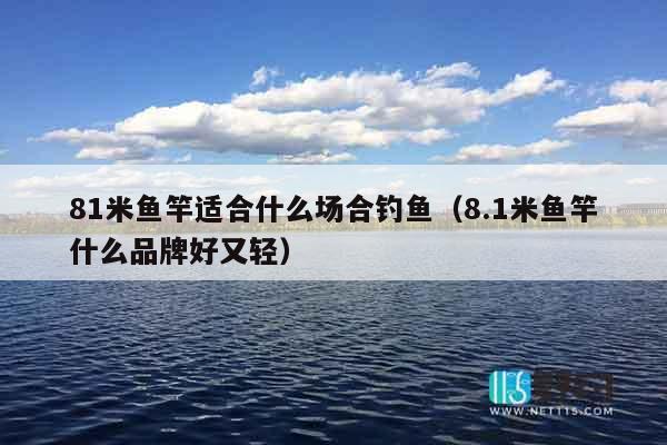 81米鱼竿适合什么场合钓鱼（8.1米鱼竿什么品牌好又轻）