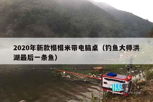 2020年新款榻榻米带电脑桌（钓鱼大师洪湖最后一条鱼）