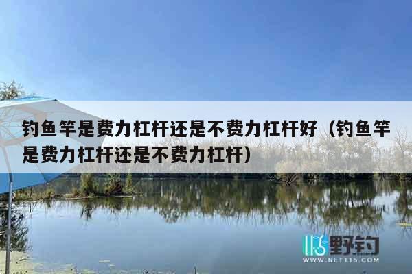 钓鱼竿是费力杠杆还是不费力杠杆好（钓鱼竿是费力杠杆还是不费力杠杆）
