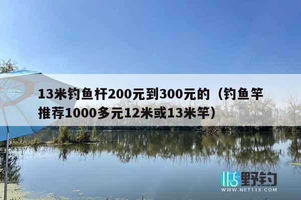 13米钓鱼杆200元到300元的（钓鱼竿推荐1000多元12米或13米竿）