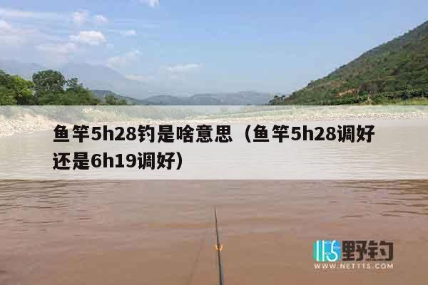 鱼竿5h28钓是啥意思（鱼竿5h28调好还是6h19调好）