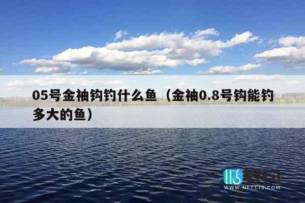05号金袖钩钓什么鱼（金袖0.8号钩能钓多大的鱼）