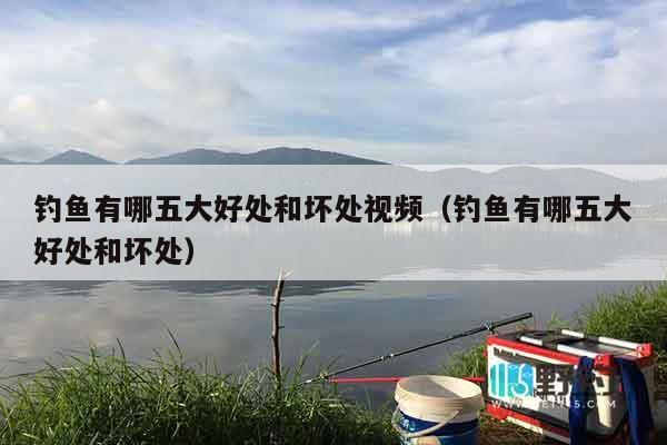 钓鱼有哪五大好处和坏处视频（钓鱼有哪五大好处和坏处）