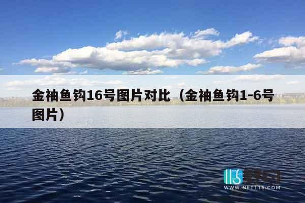 金袖鱼钩16号图片对比（金袖鱼钩1-6号图片）