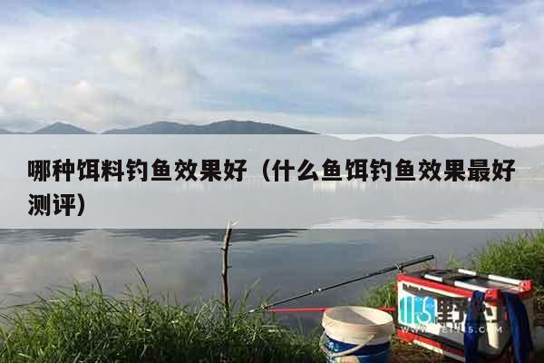 哪种饵料钓鱼效果好（什么鱼饵钓鱼效果最好测评）