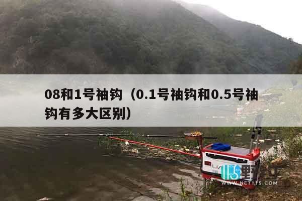 08和1号袖钩（0.1号袖钩和0.5号袖钩有多大区别）