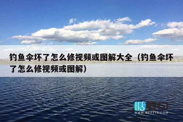 钓鱼伞坏了怎么修视频或图解大全（钓鱼伞坏了怎么修视频或图解）