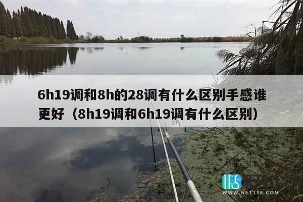 6h19调和8h的28调有什么区别手感谁更好（8h19调和6h19调有什么区别）