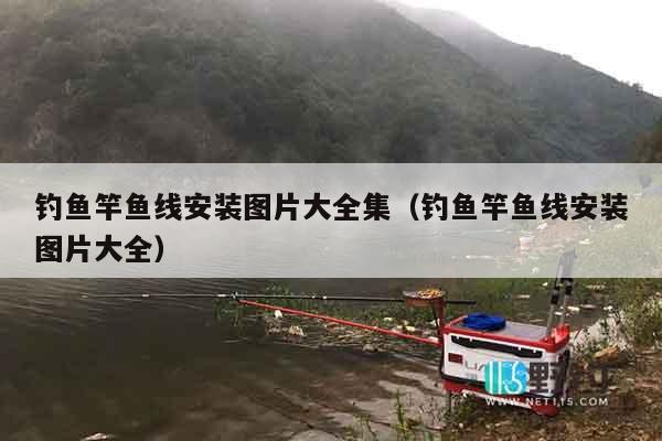 钓鱼竿鱼线安装图片大全集（钓鱼竿鱼线安装图片大全）