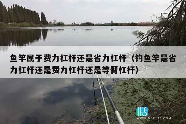 鱼竿属于费力杠杆还是省力杠杆（钓鱼竿是省力杠杆还是费力杠杆还是等臂杠杆）