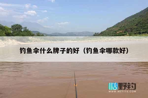 钓鱼伞什么牌子的好（钓鱼伞哪款好）