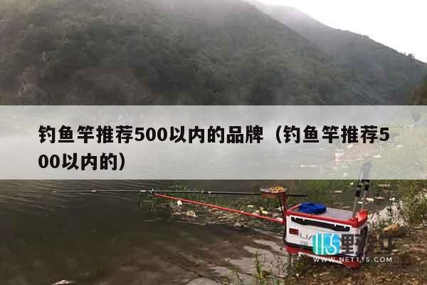 钓鱼竿推荐500以内的品牌（钓鱼竿推荐500以内的）
