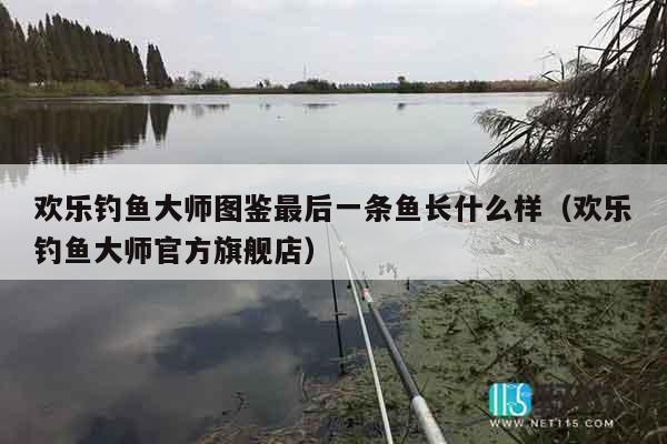 欢乐钓鱼大师图鉴最后一条鱼长什么样（欢乐钓鱼大师官方旗舰店）