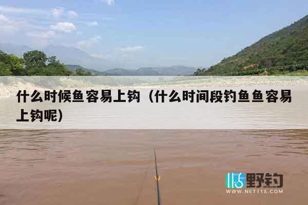 什么时候鱼容易上钩（什么时间段钓鱼鱼容易上钩呢）