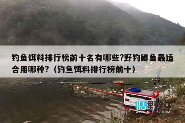钓鱼饵料排行榜前十名有哪些?野钓鲫鱼最适合用哪种?（钓鱼饵料排行榜前十）