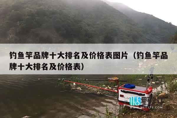 钓鱼竿品牌十大排名及价格表图片（钓鱼竿品牌十大排名及价格表）