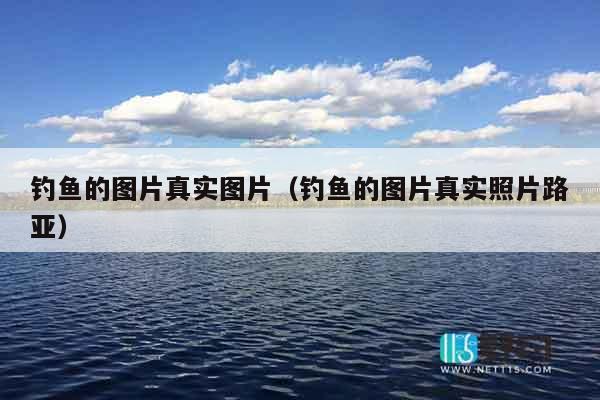 钓鱼的图片真实图片（钓鱼的图片真实照片路亚）