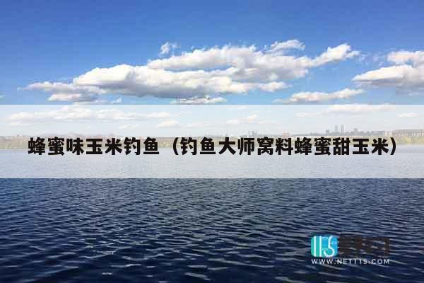 蜂蜜味玉米钓鱼（钓鱼大师窝料蜂蜜甜玉米）