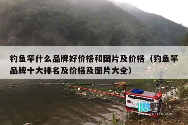 钓鱼竿什么品牌好价格和图片及价格（钓鱼竿品牌十大排名及价格及图片大全）