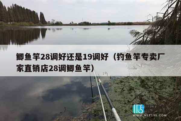 鲫鱼竿28调好还是19调好（钓鱼竿专卖厂家直销店28调鲫鱼竿）