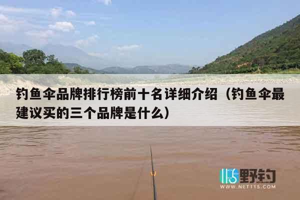 钓鱼伞品牌排行榜前十名详细介绍（钓鱼伞最建议买的三个品牌是什么）