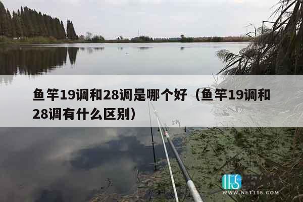 鱼竿19调和28调是哪个好（鱼竿19调和28调有什么区别）