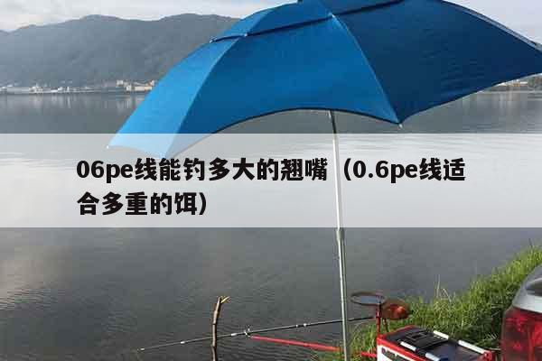 06pe线能钓多大的翘嘴（0.6pe线适合多重的饵）
