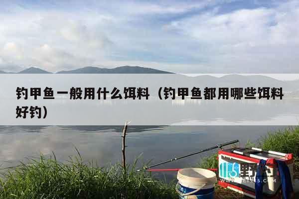 钓甲鱼一般用什么饵料（钓甲鱼都用哪些饵料好钓）