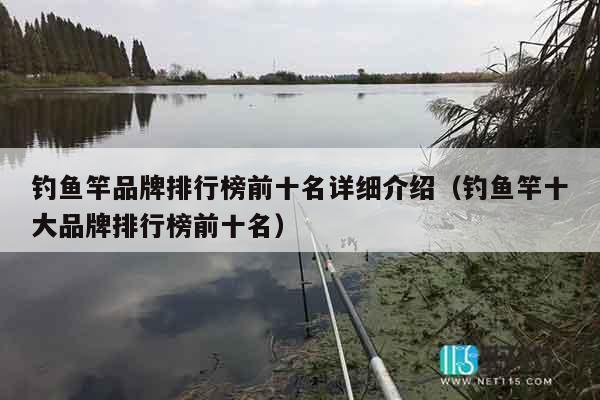 钓鱼竿品牌排行榜前十名详细介绍（钓鱼竿十大品牌排行榜前十名）
