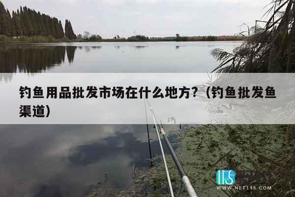 钓鱼用品批发市场在什么地方?（钓鱼批发鱼渠道）