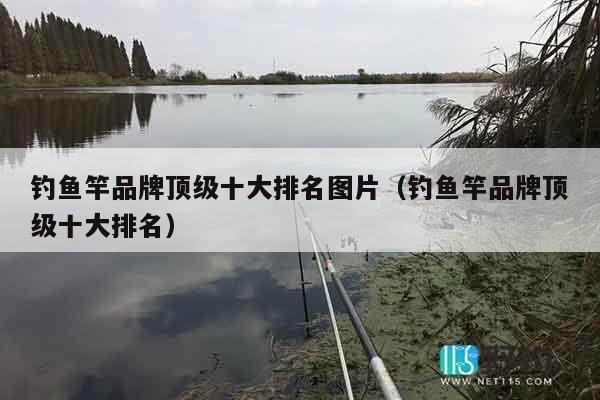 钓鱼竿品牌顶级十大排名图片（钓鱼竿品牌顶级十大排名）