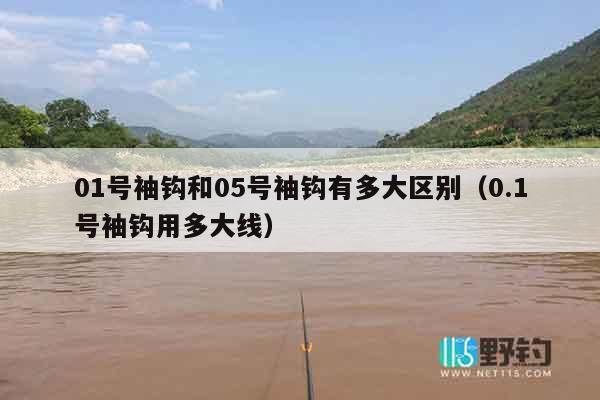 01号袖钩和05号袖钩有多大区别（0.1号袖钩用多大线）