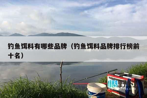 钓鱼饵料有哪些品牌（钓鱼饵料品牌排行榜前十名）