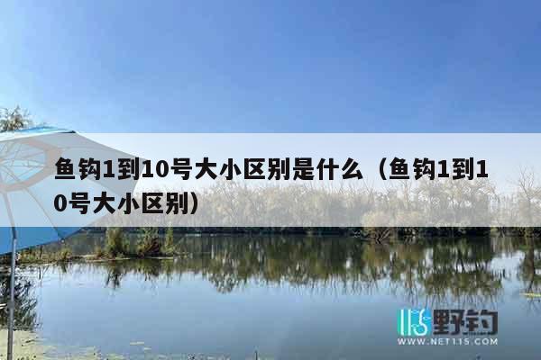 鱼钩1到10号大小区别是什么（鱼钩1到10号大小区别）