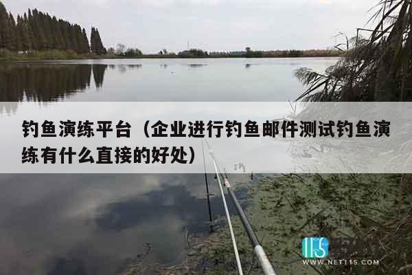 钓鱼演练平台（企业进行钓鱼邮件测试钓鱼演练有什么直接的好处）