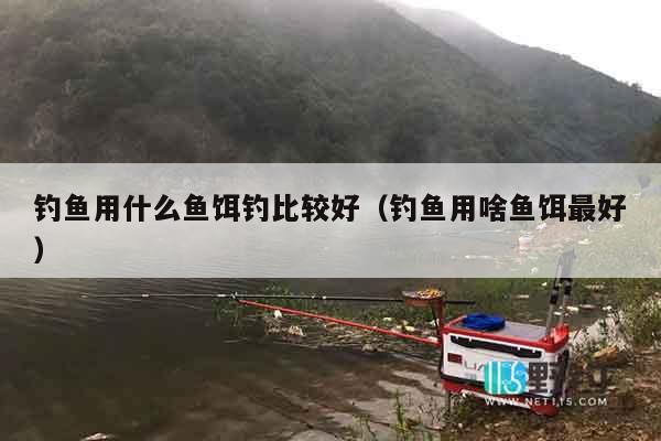 钓鱼用什么鱼饵钓比较好（钓鱼用啥鱼饵最好）